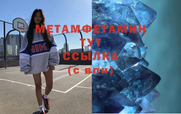 гидропоника Дмитриев