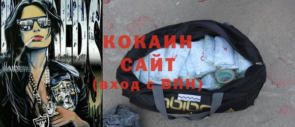 гидропоника Дмитриев