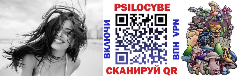 Псилоцибиновые грибы Psilocybine cubensis  Жердевка 
